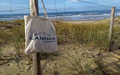 un tote bag à l'océan